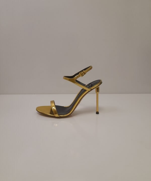 ELISABETTA FRANCHI aukštakulniai